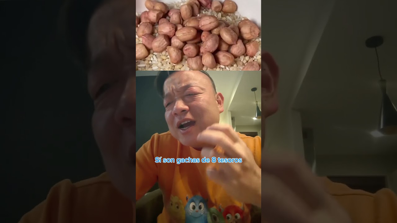 Gachas de 8 tesoros@Fei Fer 