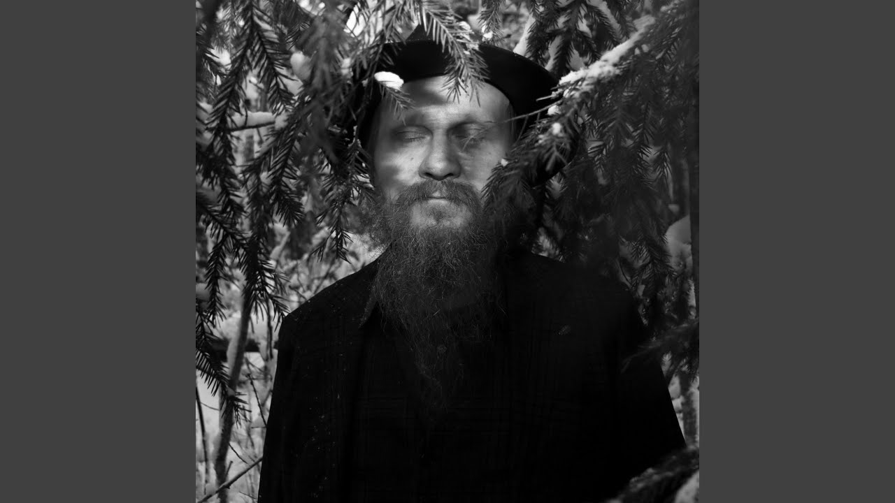 Korpiviidakon laki