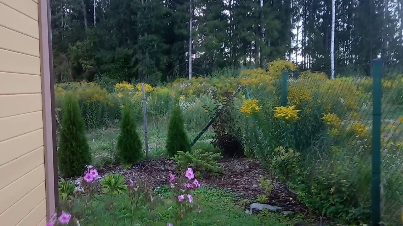 Vasara vasarnica