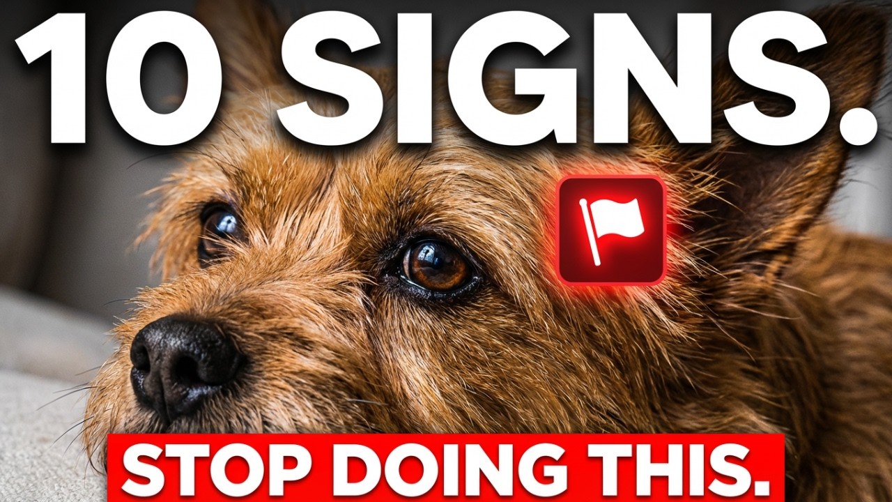 The Harsh Truth About Your Dog’s True Feelings