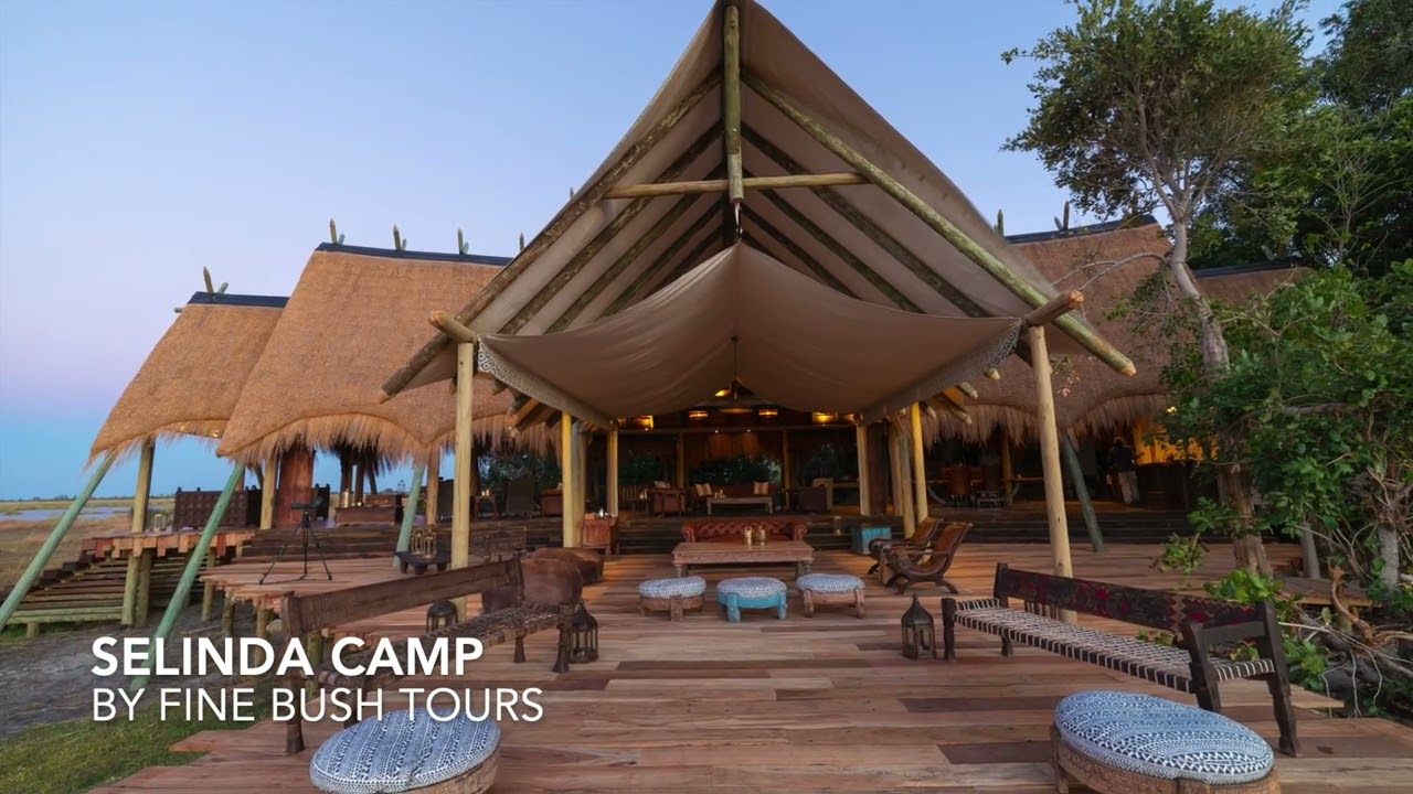 Selinda Camp
