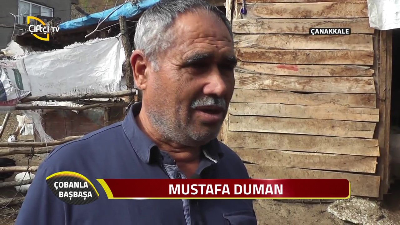 Çobanla Baş Başa-Çanakkale de Koyun Çobanımız ile Buluştuk...