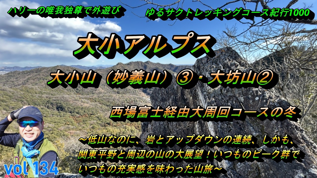【大小アルプス（大小山（妙義山）③・大坊山②）】西場富士経由大周回コースの冬～ハリーの唯我独尊で外遊び・“ゆるサクトレッキングコース紀行１０００ー０１３４ー～