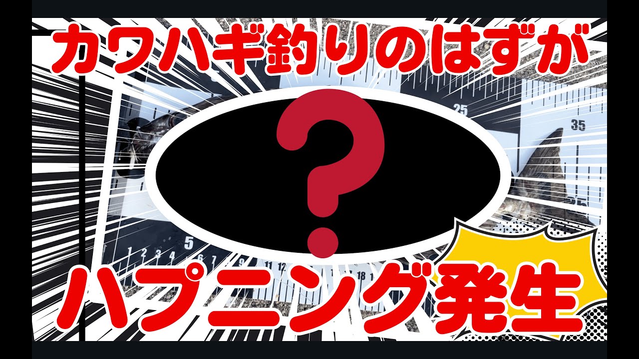 【事件】カワハギを狙ったはずが、竿をしならせたのはアイツだった…！