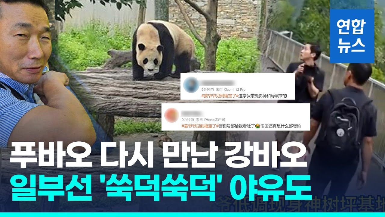 강바오가 부르자 푸바오 '성큼성큼'…감동재회에 중국 일부 네티즌 '쑥덕쑥덕' 야유도 / 연합뉴스 (Yonhapnews)