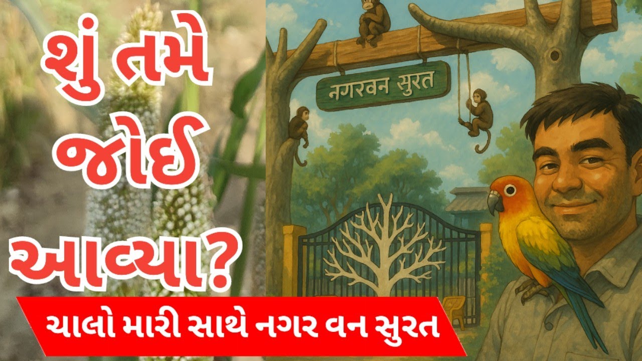 Nagar Van Surat|નગર વન સુરત | Nagar Van Dumas - Van Vibhag Surat