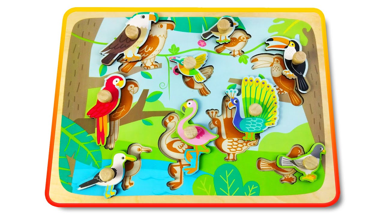 Bird Puzzle Adventure: Match the Birds! 🐦| Learn Birds with Fun Puzzle Activity Game for Kids 🦅🦜