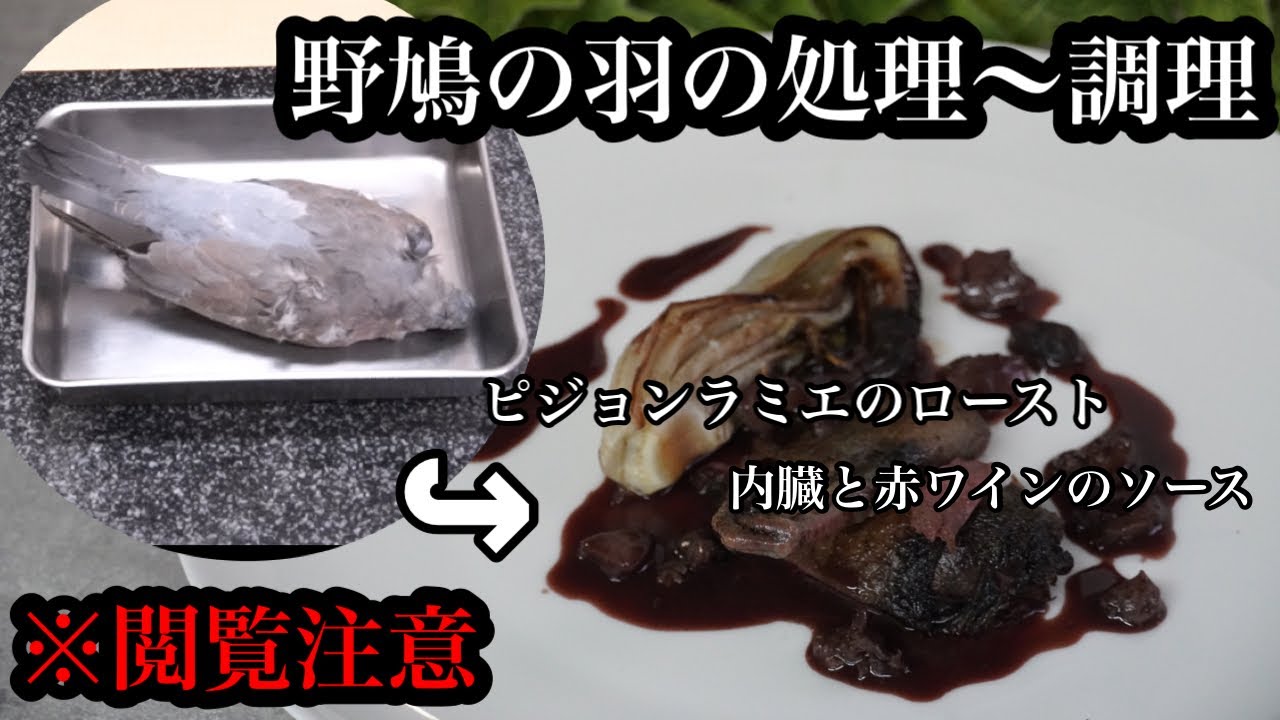 血が苦手な方は見ないでください。フレッシュピジョン仕込み〜調理【プロ向け】
