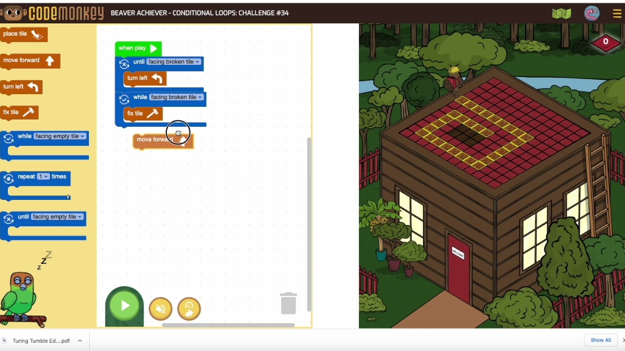 Beaver Achiever Conditional Loops 34