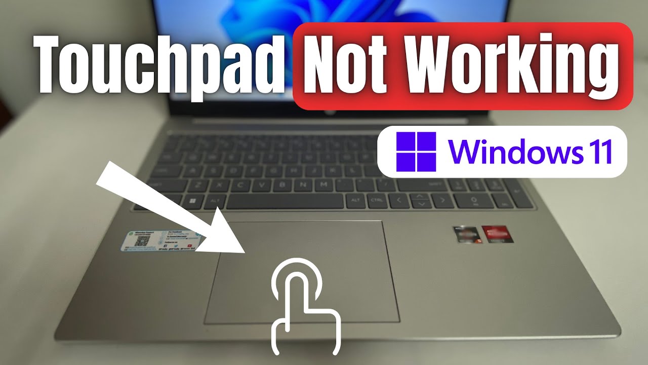 Сенсорная панель ноутбука не работает в Windows 11 (3 способа решения)