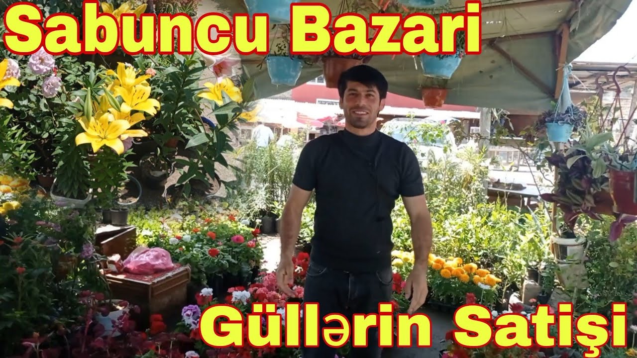 Sabuncu Bazari Güllərin satişi 27 06 2022