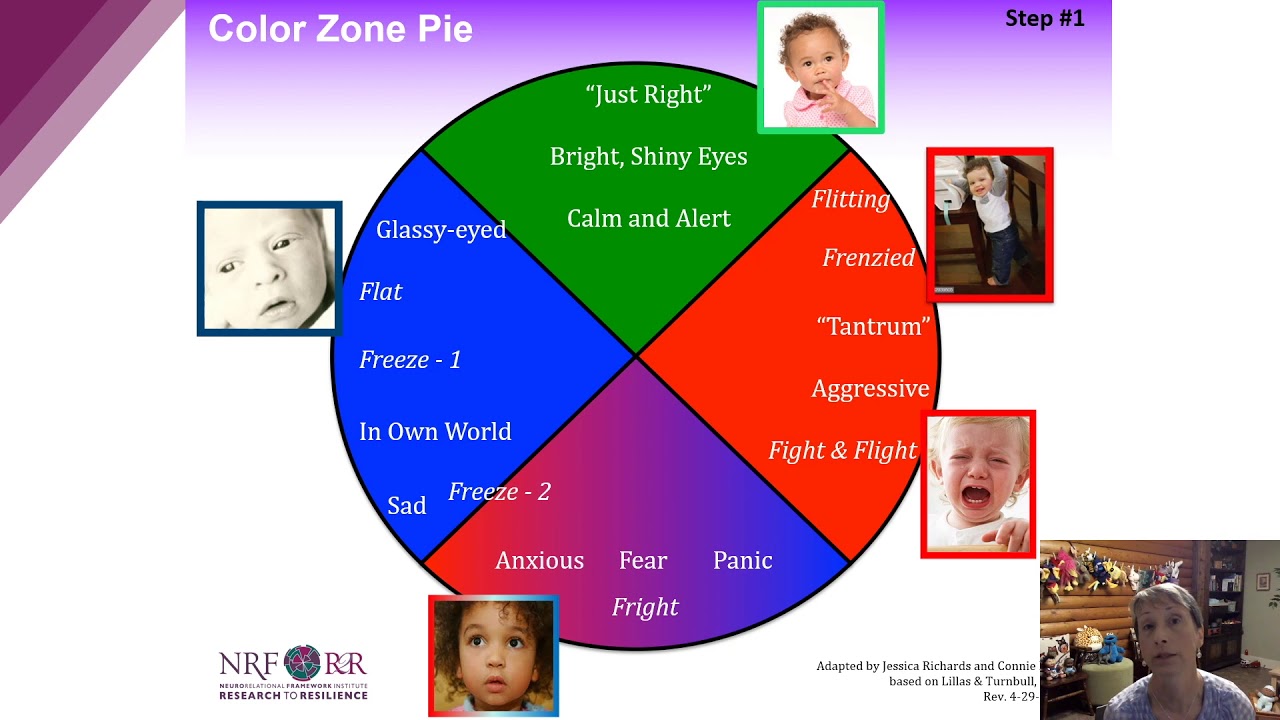 Colour Zone Pie