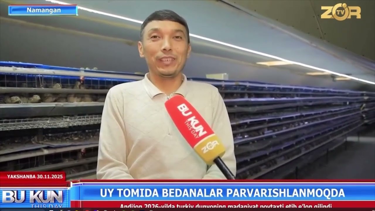 Бедана бокиш бизнеси