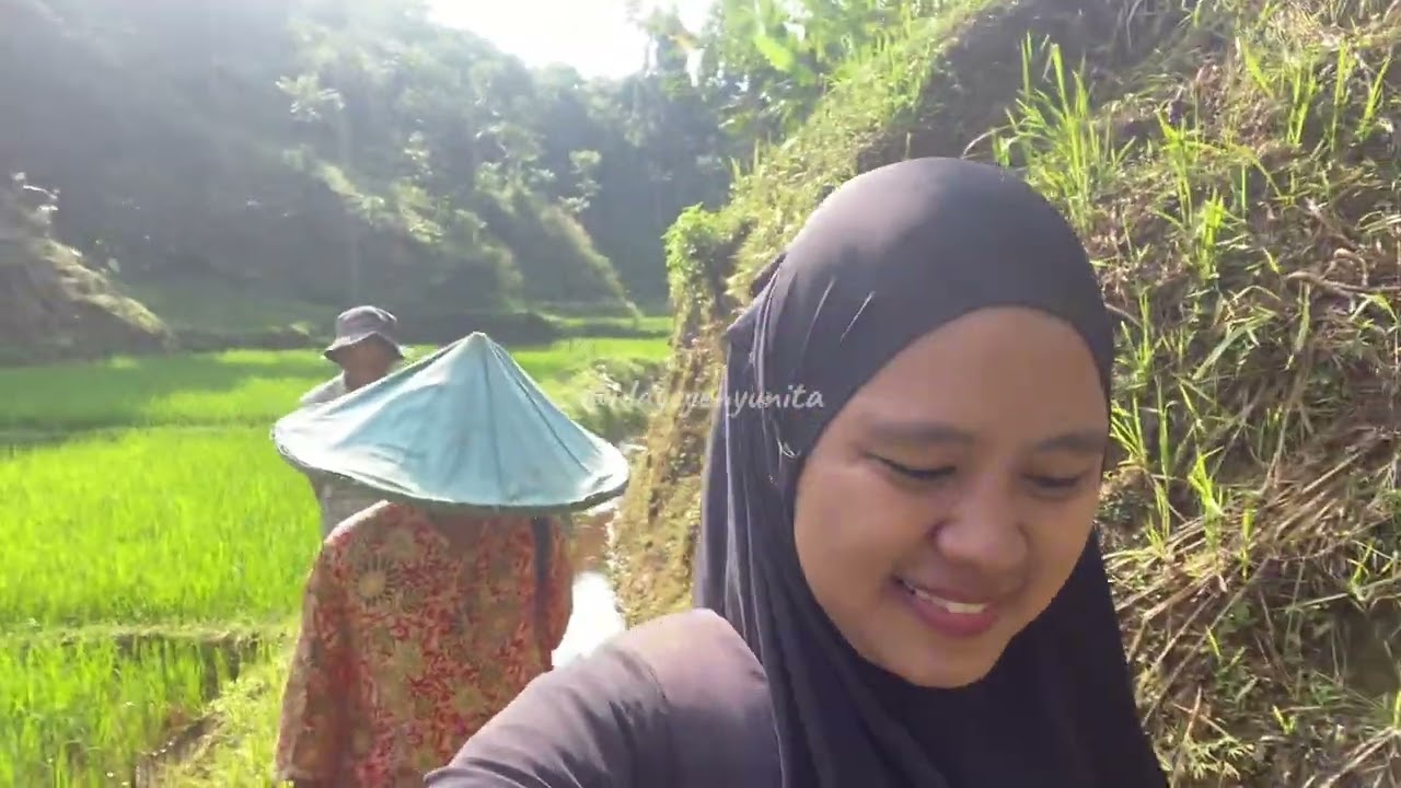 Main air & panen ubi
