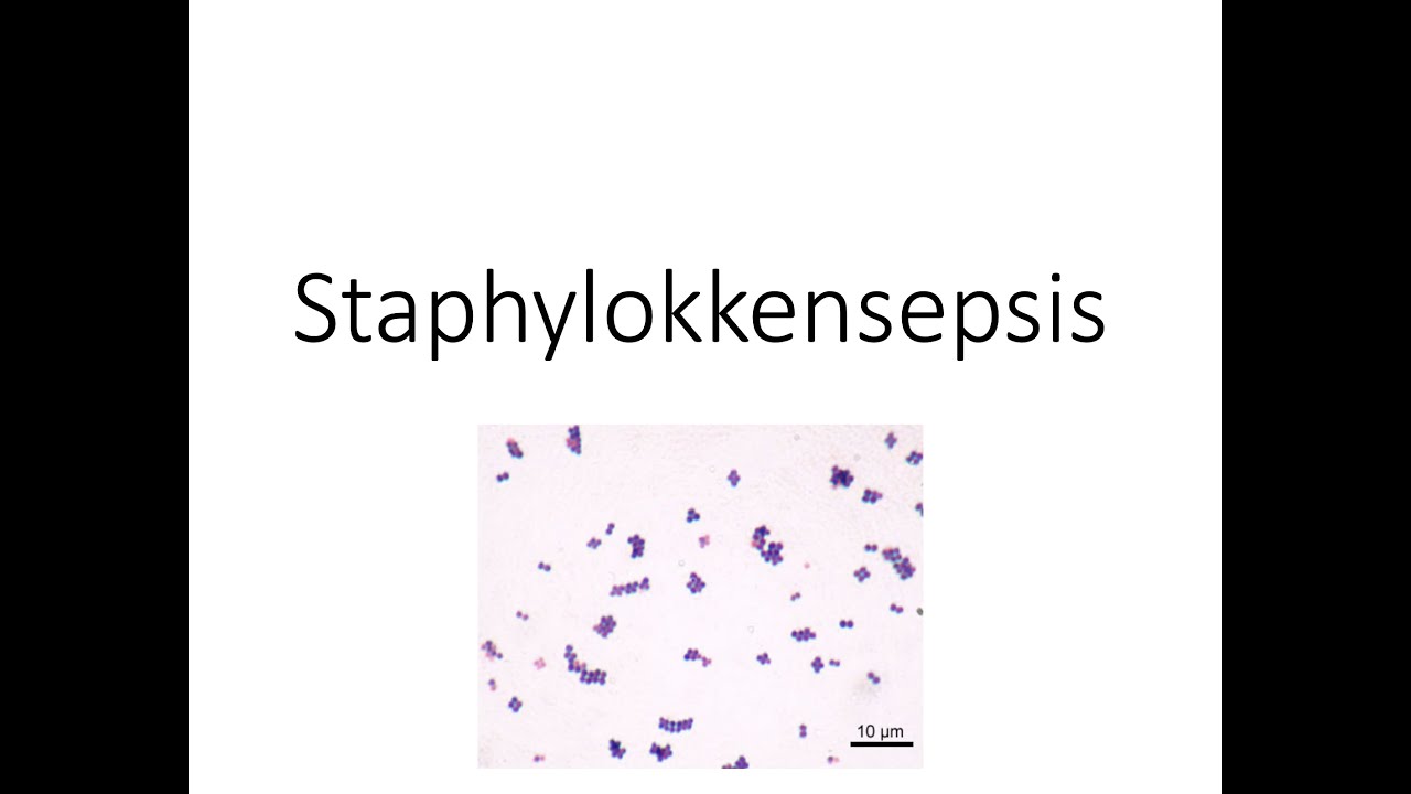 Staphylokokkensepsis