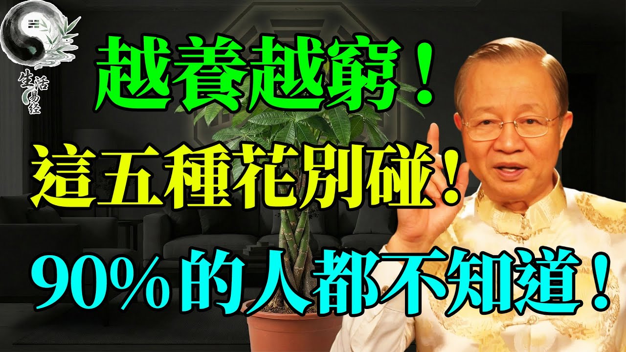 家裡再有錢也別養這5種花！看似吉利其實是「凶兆」，曾仕強：這是老天在救你！#曾仕強 #國學 #國學智慧 #人生感悟 #人生哲理 #因果 #易經 #正能量 #風水