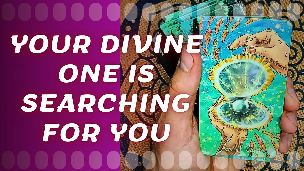 TO THE LONE WOLF THAT EVERYONE WANTS TO BE AROUND ❗YOUR DIVINE COUNTERPART IS TRYING TO FIND YOU