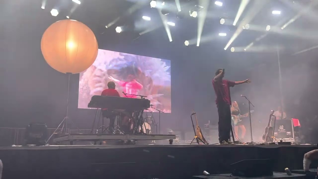 Dominic fike and bludetiger  “3 nights” lollapalooza 22 ￼