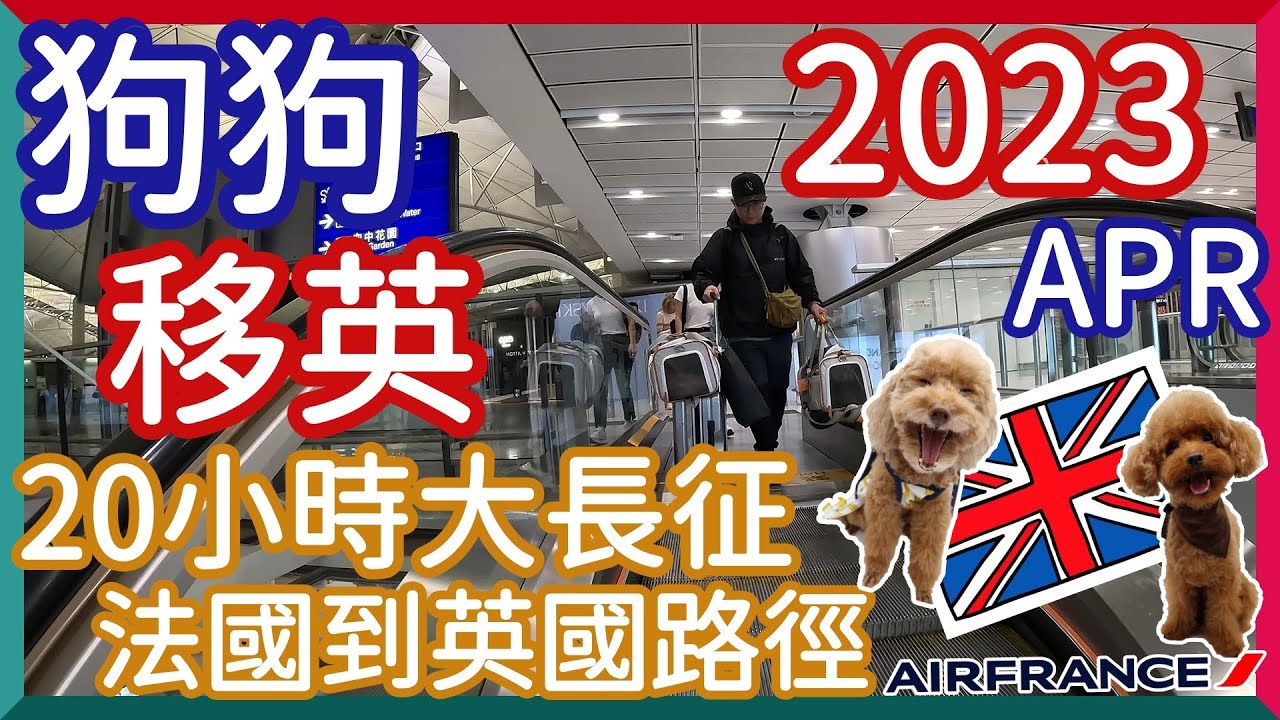 【Deslife@UK 英國生活台】4K 竉物大長征｜狗狗和我一起在機艙｜#寵物移民 ｜Air France Pet in Cabin ｜法國到英國路線全紀錄 #petmovesabroad