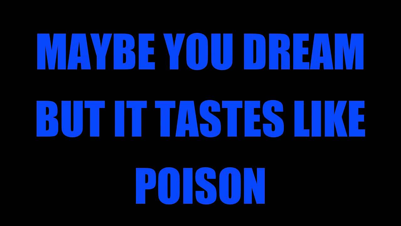 Noel Gallagher's High Flying Birds - AKA What a Life Lyrics HD