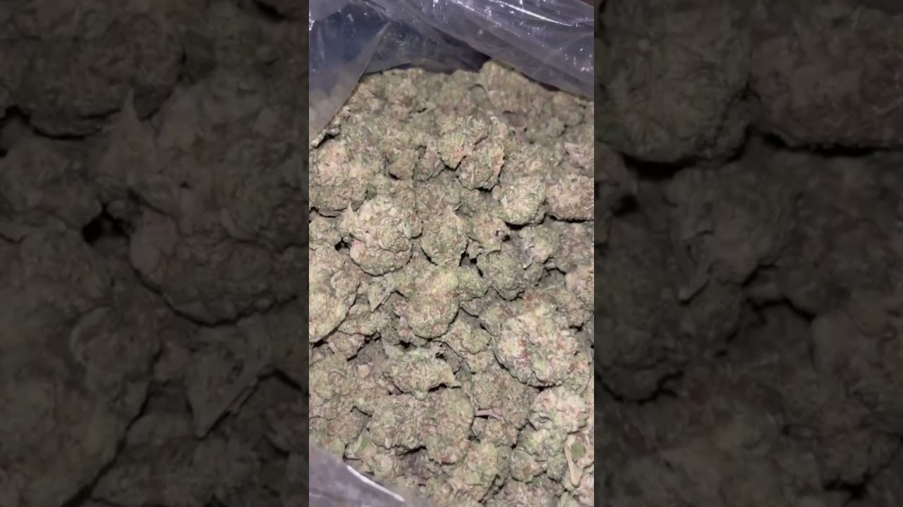 Gary Payton Strain Review 🅾️
