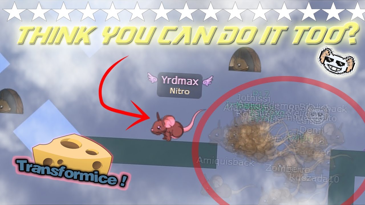 transformice is easy