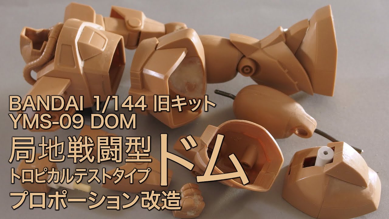 1/144 MSV 局地戦闘型ドム 旧キット