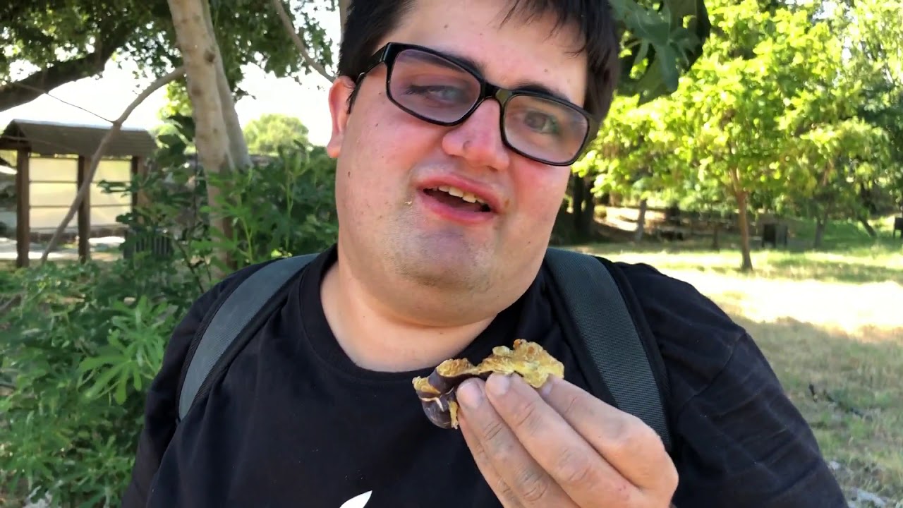 Herping στη Βόλβη Αύγουστος 2019 - βατραχάκια, πρασινόφρυνος, πρασινόσαυρες, χελώνες και άλλα