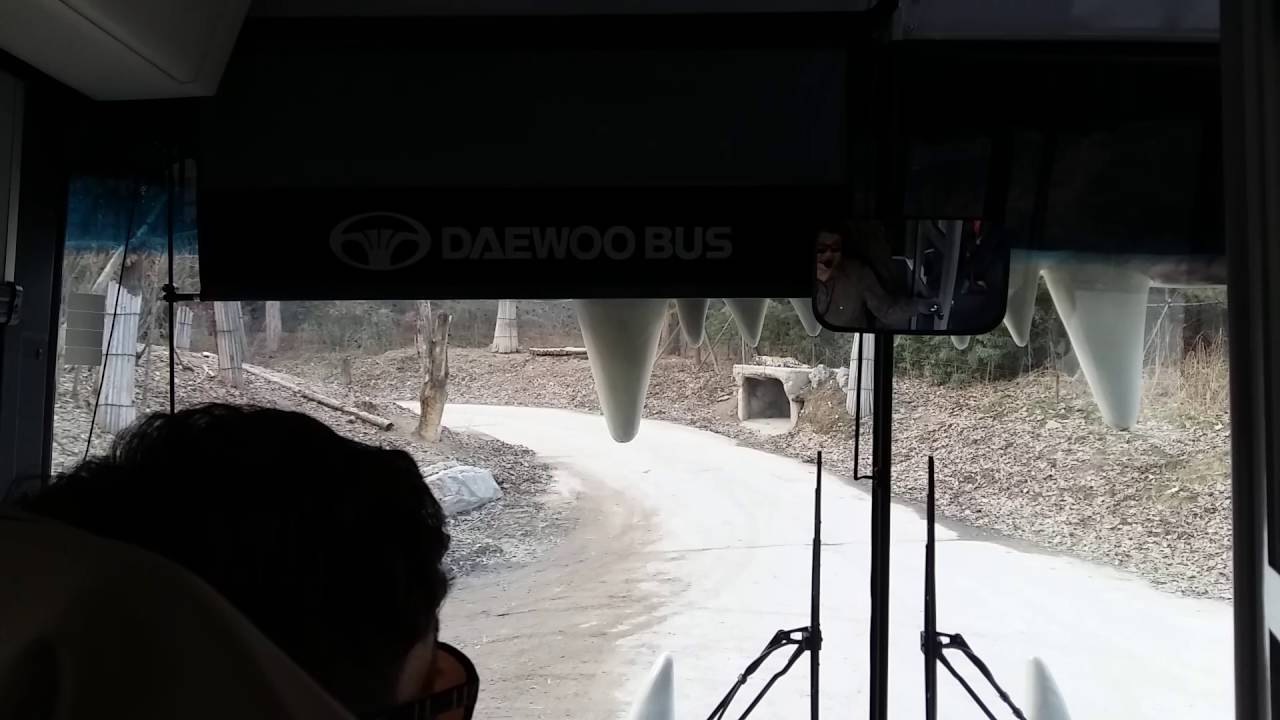 에버랜드 사파리 전면영상