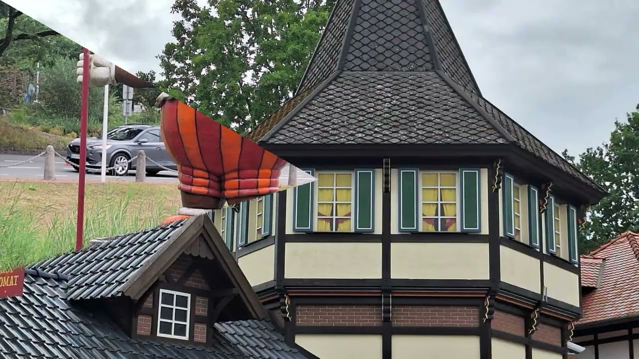 18 August 2024 Von Soltau nach Bispingen Verfolgung der Heidschnucken 5