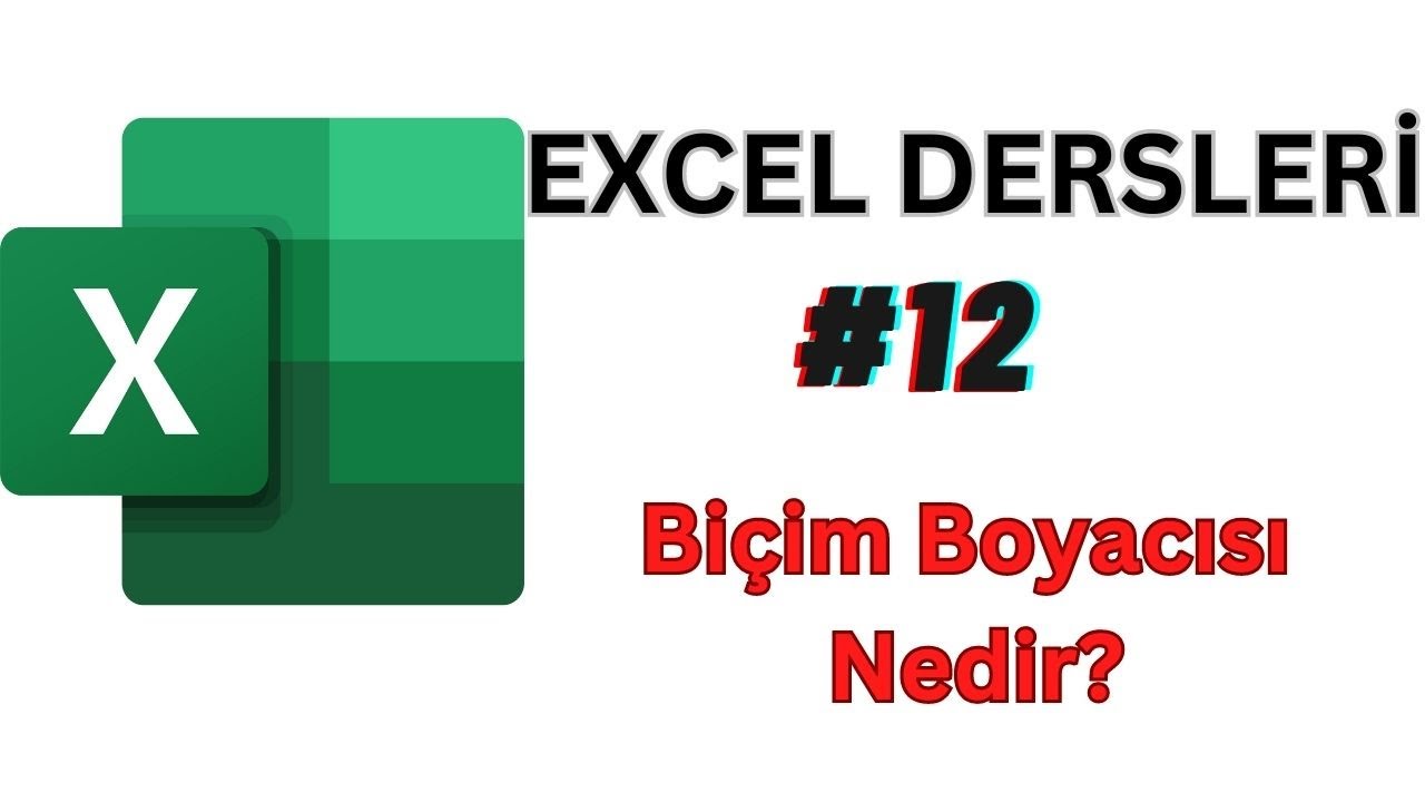 Bi&ccedil;im Boyacısı Nedir? Nerelerde Kullanılır  (Sıfırdan İleri D&uuml;zey Excel Dersleri #12)