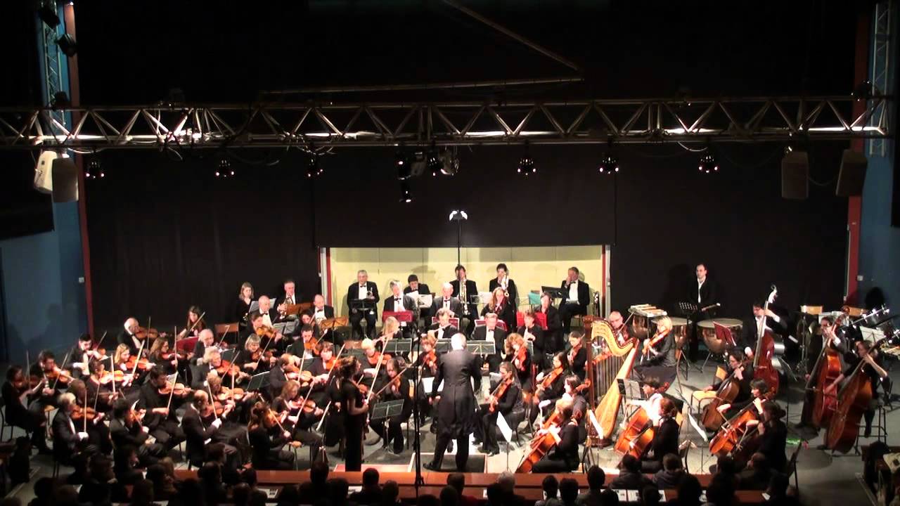 Concerto pour Violon de Tchaikovsky - 1er Mouvement SARAH NEMTANU