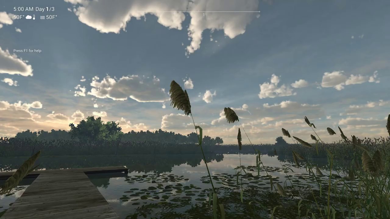 Fishing planet - Unique Largemouth Bass at Everglades, Florida.