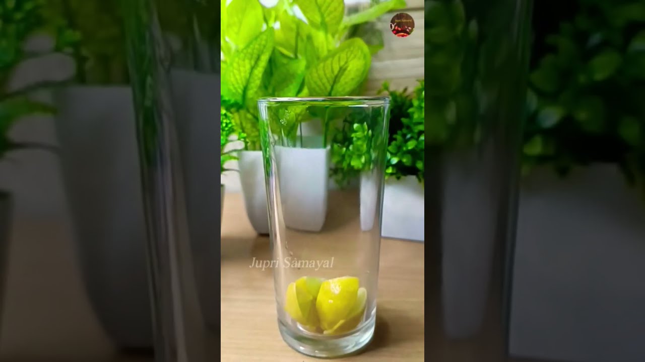 virgin mojito/simple juice