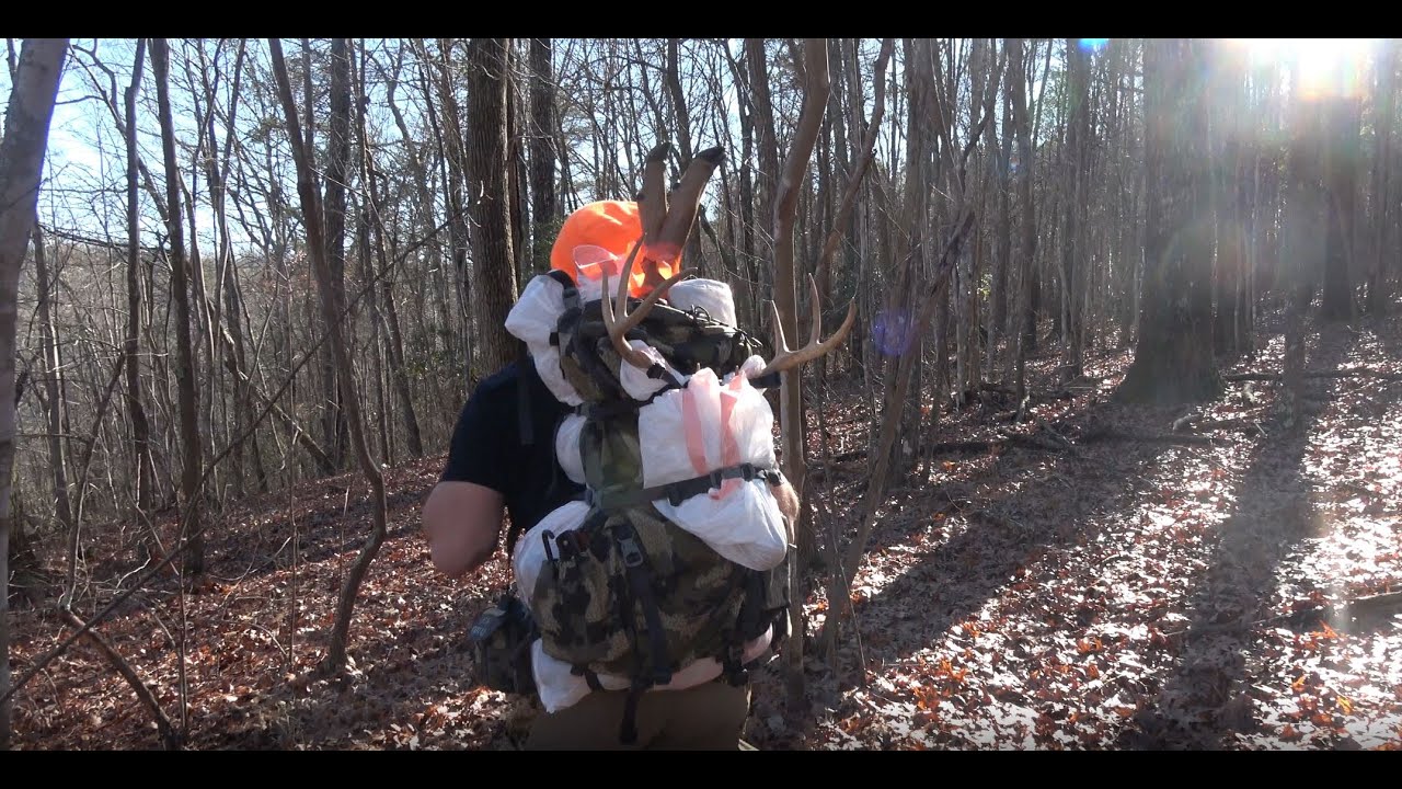 North Alabama Public Land Rut