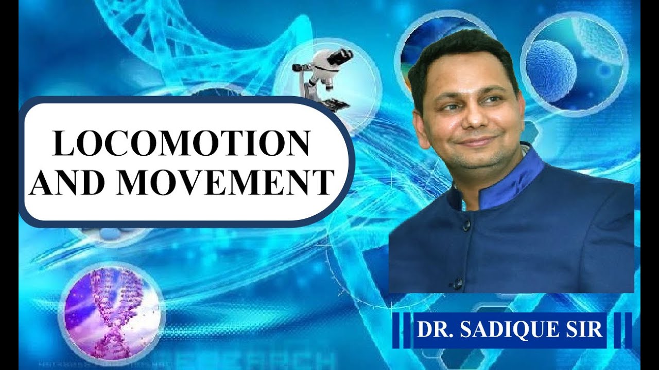 LOCOMOTION AND MOVEMENT 3
