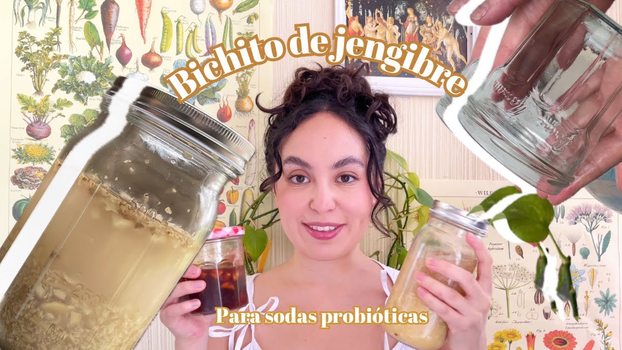 Bichito de jengibre para hacer sodas naturales 🤍🤍 #fermento #fermented #jengibre #recetas