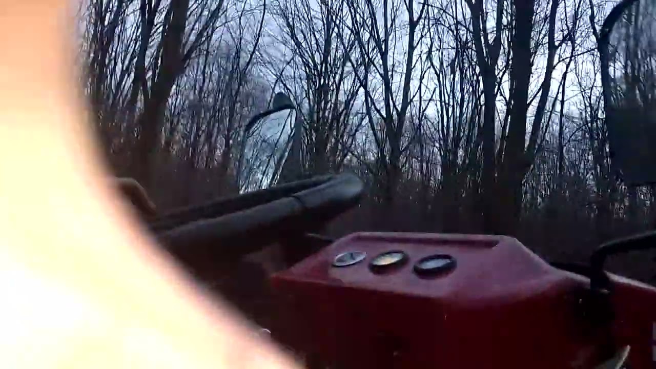 їздили в ліс по дрова трактором кентавр