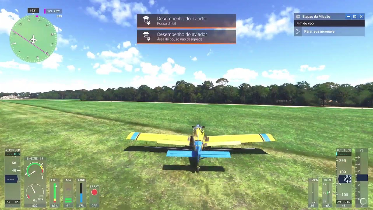 Flight simulador 24 Ps5