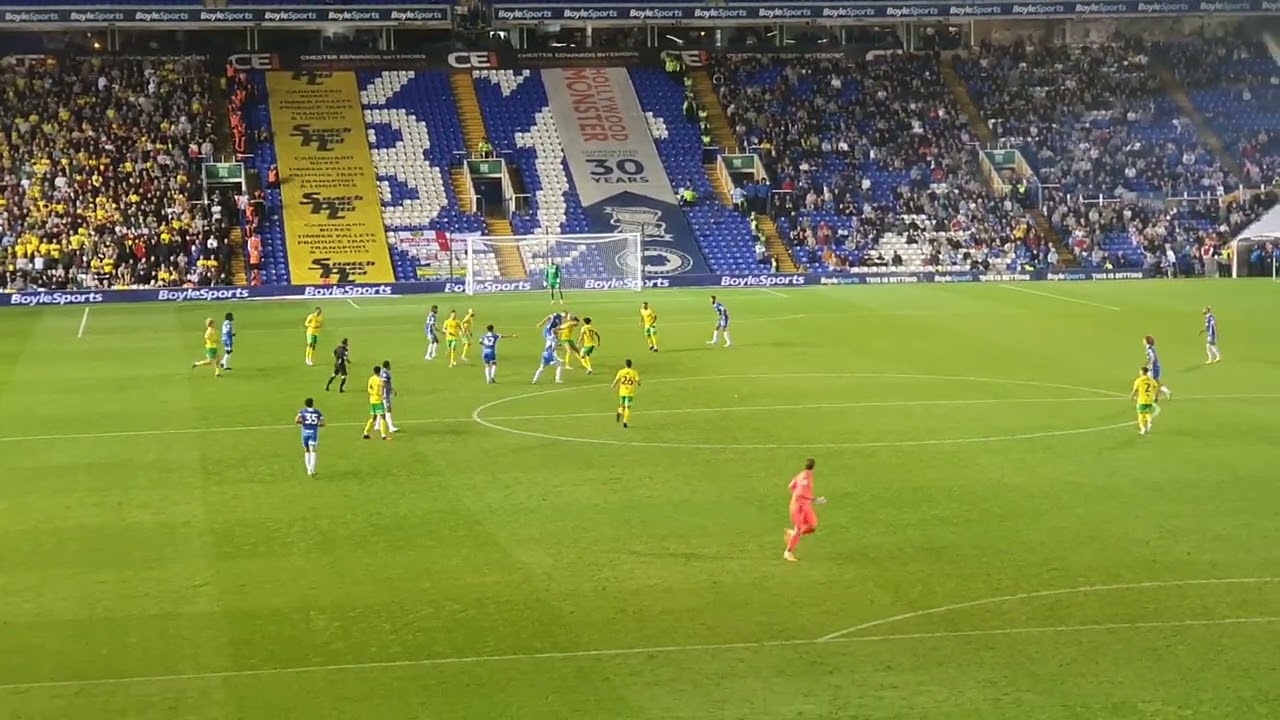 Onel Hernandez Winning Norwich City Goal V Birmingham City 2022 Celebration Scenes