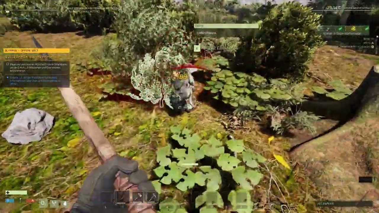 Icarus Vorstellung
