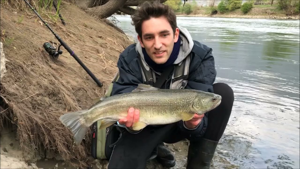 Pesca spinnnig fiume adige