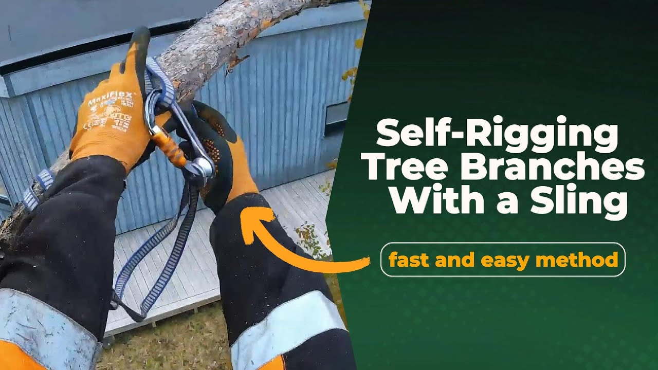 Self-Rigging With a Sling in Tree Removal | Tree Work Techniques