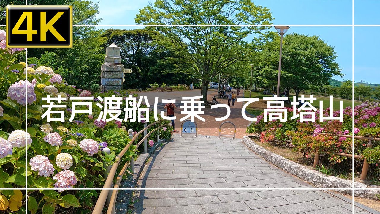 【2022年6月】若戸渡船に乗って高塔山の紫陽花を見に行ってみた【4K】