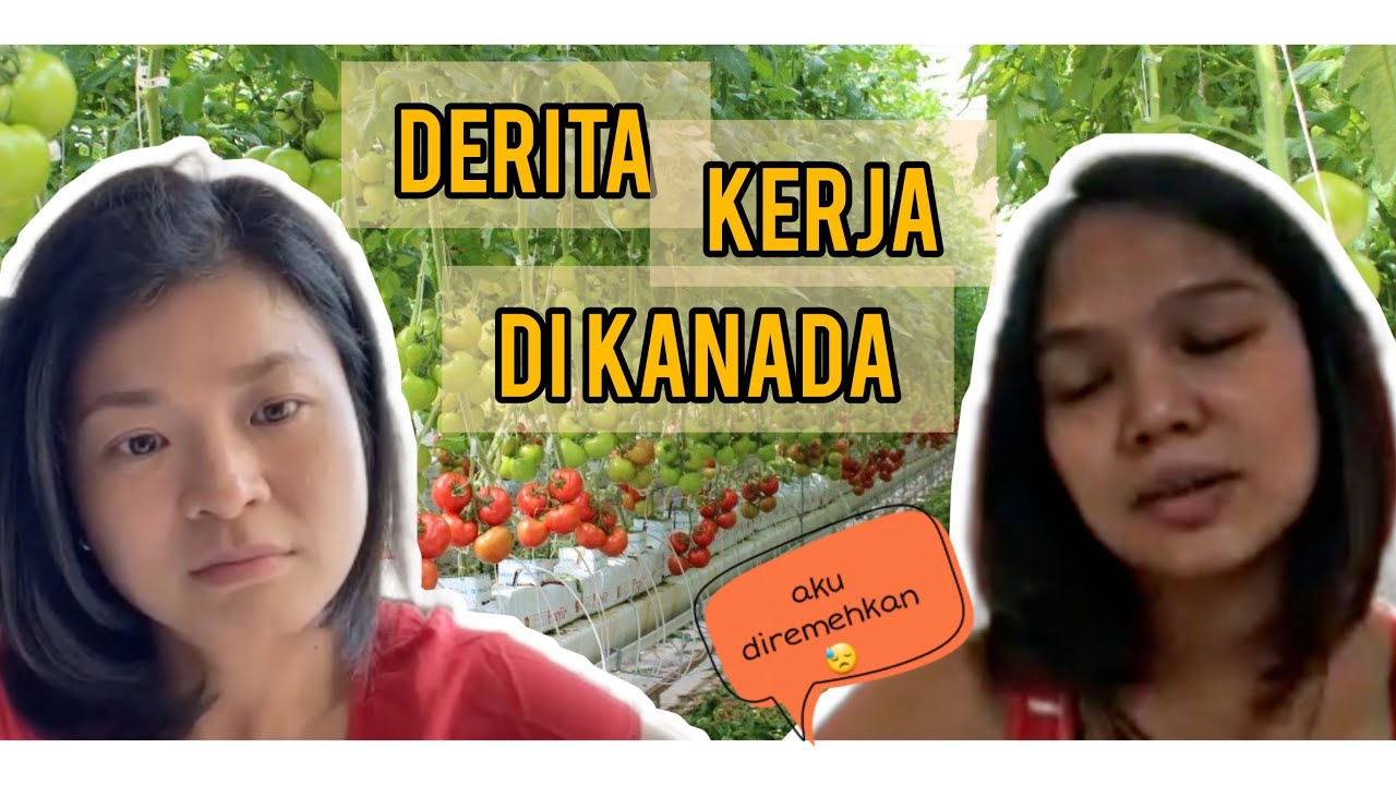 EP 2 - NGOBROL DENGAN INDONESIAN FARM HOUSE WORKER - Duka nya Kerja di Kanada, sampai diremehkan.