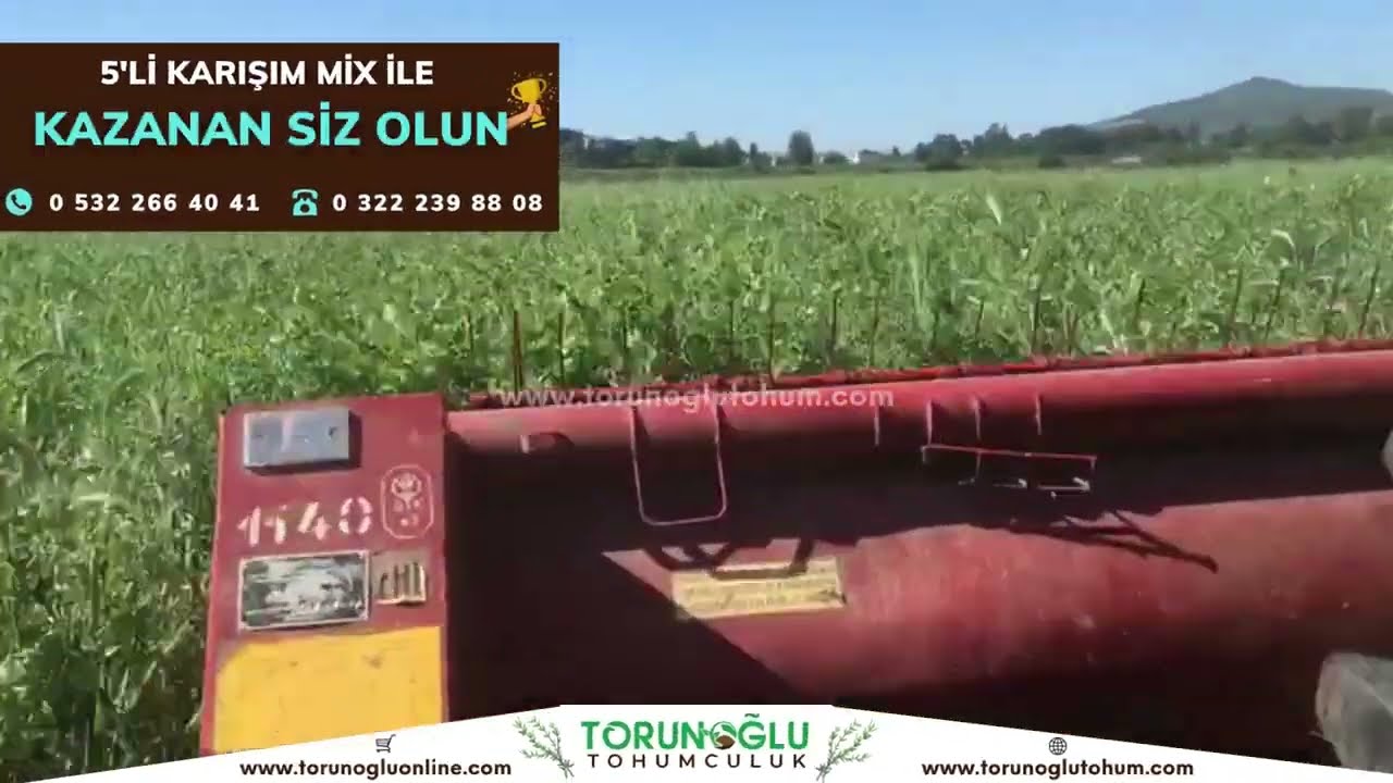 KIŞ SEZONU EN İYİ YEM BİTKİSİ - 5Lİ KARIŞIM MİX