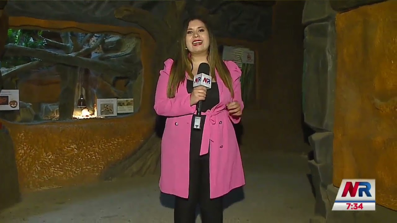 OIJ reporta aumento en cantidad de decomisos de animales silvestres