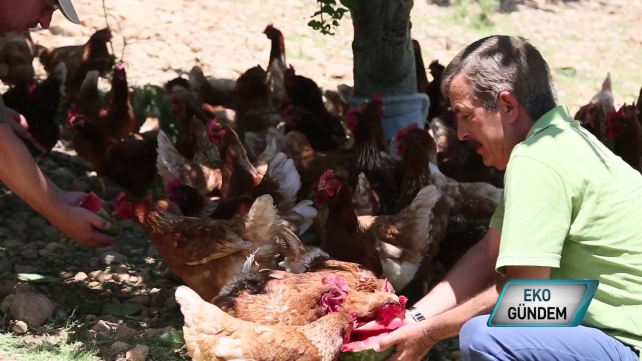 Çömelek Doğal Ürünler Çiftliği