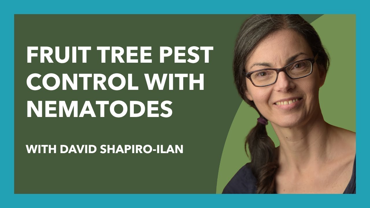 Control Plum Curculio and other Fruit Tree Pests with Beneficial Nematodes