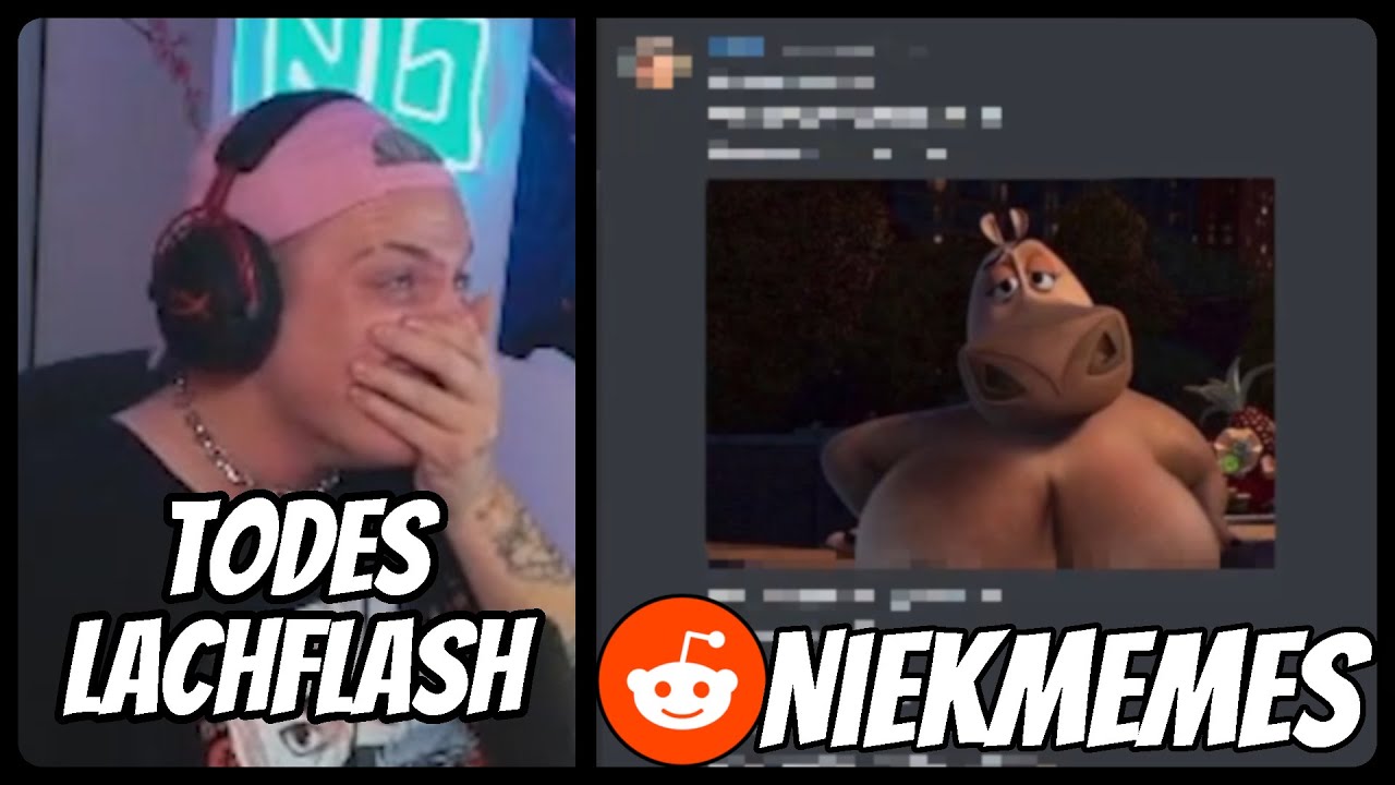 DER WITZIGSTE REDDIT! | Niek Reddit Reaction